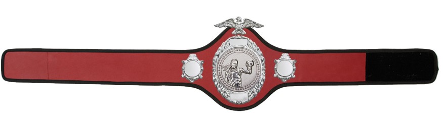FEMALE BOXING CHAMPIONSHIP BELT-PRO288/S/FEMBOXS - 10 COLOURS FEMALE BOXING CHAMPIONSHIP BELT-PRO288/S/FEMBOXS - 10 COLOURS